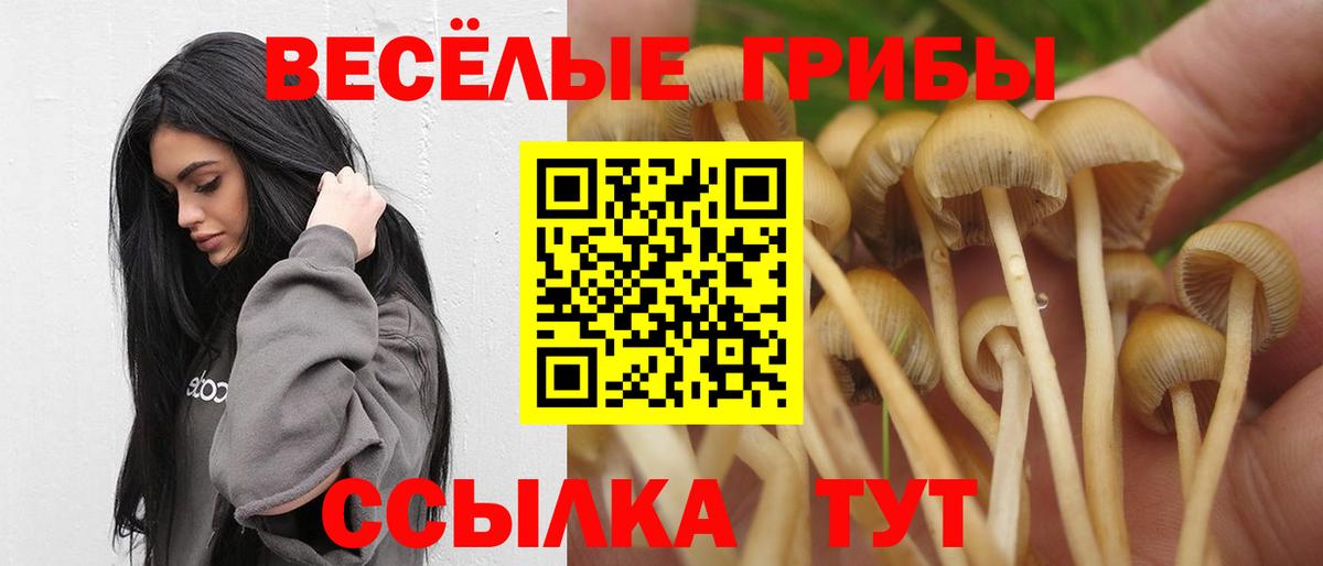Обь  Псилоцибиновые грибы MAGIC MUSHROOMS  Вход с VPN  сколько стоит  Галлюциногенные грибы прущие грибы 